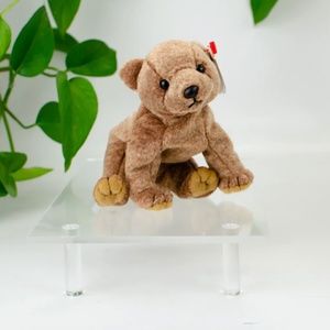 Ty Beanie Baby Pecan The Bear !